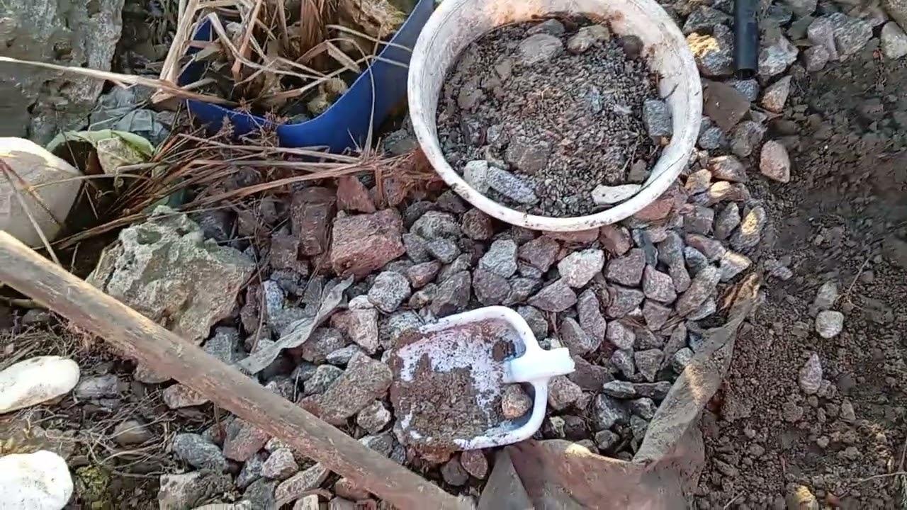 Перші дні березня 