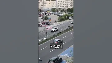 Дикие КАБАНЫ атаковали польский город