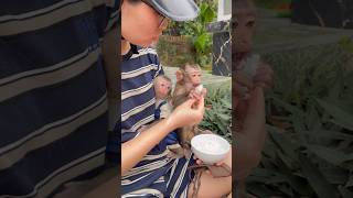 Susu Ate Her Rice With Great Relish.-E6T