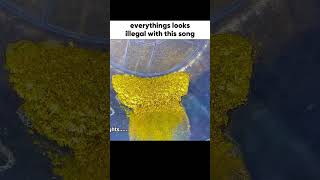 Everything looks illegal with this song #memes #illegal