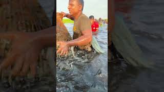 Who Caught Bills Biggest Cuttla Fish...