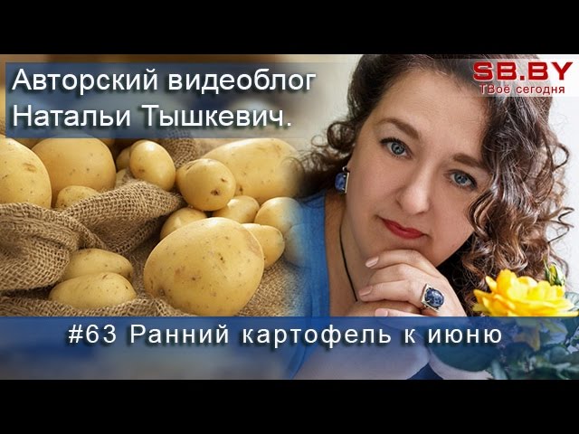Ранний картофель к июню