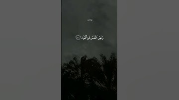 القارئ رعَد الكردي || سورة النازعات
