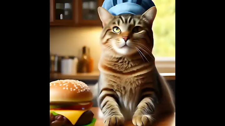 Мем про котика и бургер