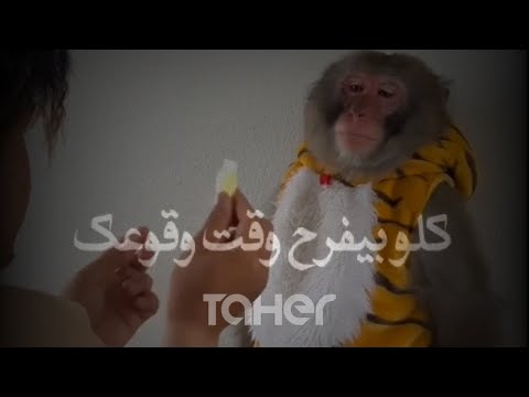 حالات واتس جامدة لسه منزلتش عصام صاصا كلو بيفرح وقت وقوعك حالات بووووم لسه منزلتش