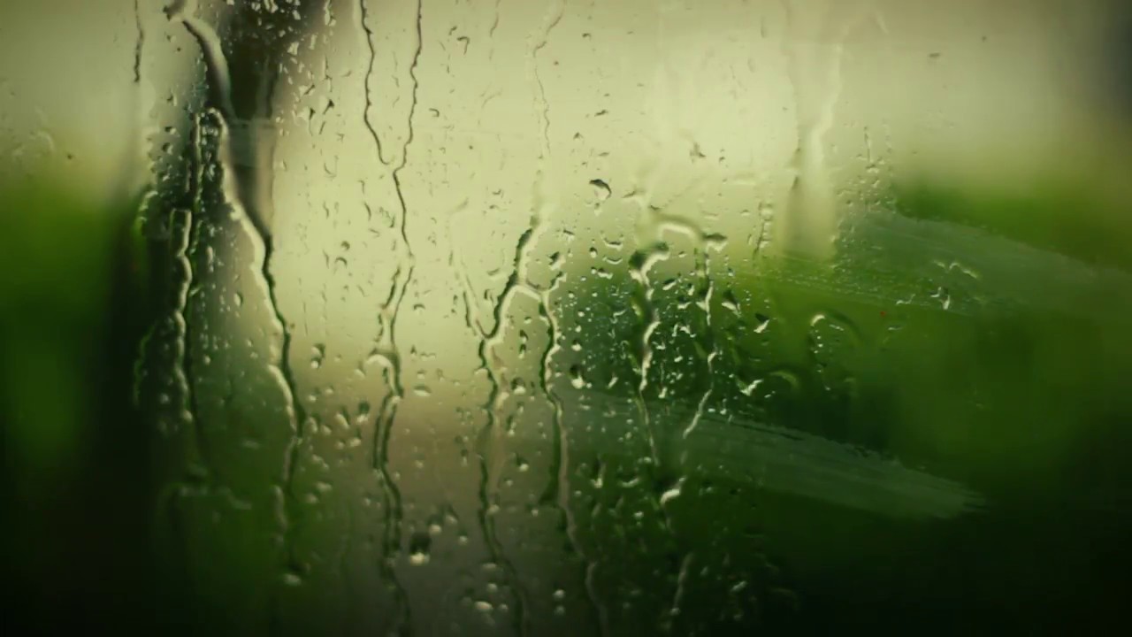 Ver "Earth" - Sleeping At Last (Micro Music Video) en YouTube Ver "Earth" - Sleeping At Last (Micro Music Video) en YouTube