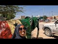 Papaya harvest hargeisa somaliland 2024