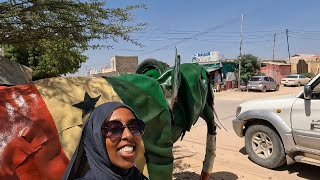 PAPAYA HARVEST HARGEISA SOMALILAND 2024