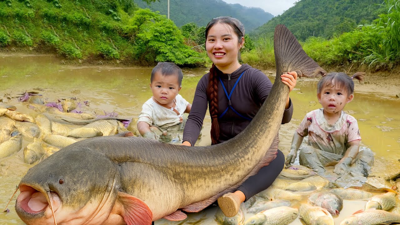 WOW! 1000KG+ Fish Harvest from Giant Pond | Father & Son Market Day
