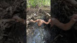 Quicksand In The Forest