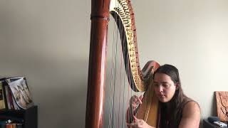 Scarborough Fair-Harp