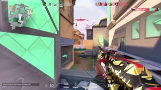 Valorant Color Aimbot | Web-Based Software 2026