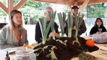 BioArt Laboratories - "The Sumbiocene Forest" - DDW-2022  Eindhoven