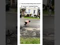 Ts gotta hurt #fypシ゚viral #butifyoucloseyoureyes #memes #viralmusic