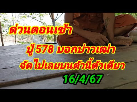 ด่วนตอนเช้า ปู่578 บอกบ่าวเฒ่าจัดไปเลยบนตัวนี้ตัวเดียว 16/4/67