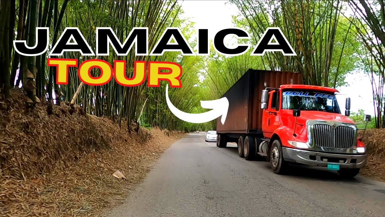 Most BEAUTIFUL PLACE To Vist in ST.ELIZABETH JAMAICA Holland Bamboo