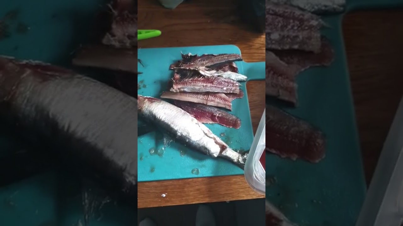 Make the Most of Supermarket Reductions. Sardine Bait preparation 