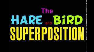 The Hare And Bird Superposition - Randi Rain