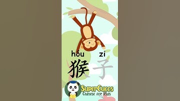 学中文- 猴子 | Learn Chinese -  MONKEY | Aprender Chino - MONO #Shorts