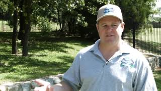 Termite Control in Richland Hills TX, details at YellowPages.com