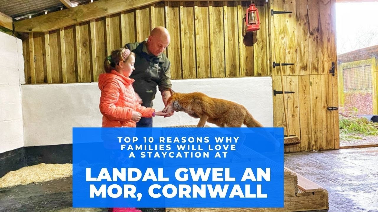 Landal Gwel an Mor, Cornwall - 10 Reasons why families will love a UK staycation here