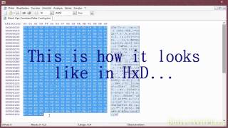 ~CoD 7 Wii~ USB Gecko Button Configuration Modding