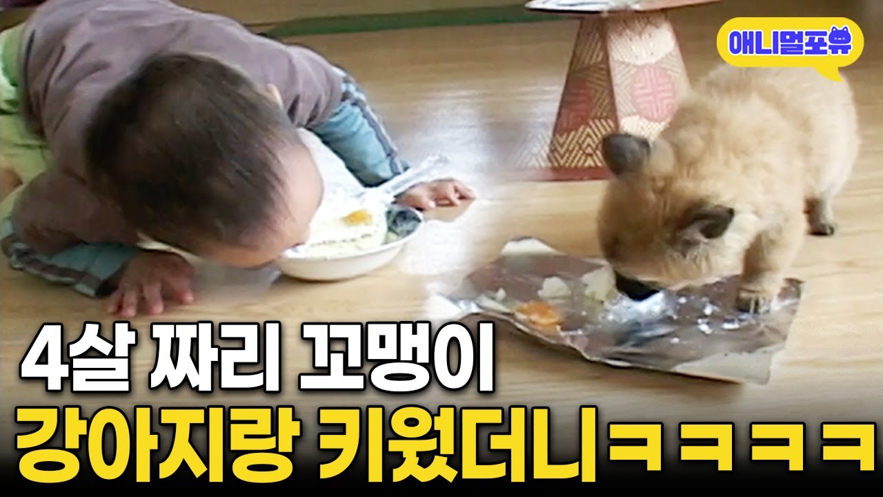 아기를 강아지랑 같이 키웠더니 일어난 일 I KBS 주주클럽 041212 방송