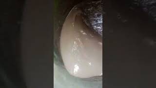 Is Tanki Mein Kya Tha Jo Sab Log Hans Rahe Hain In Comment Mein Batana Aise Mujhe Video