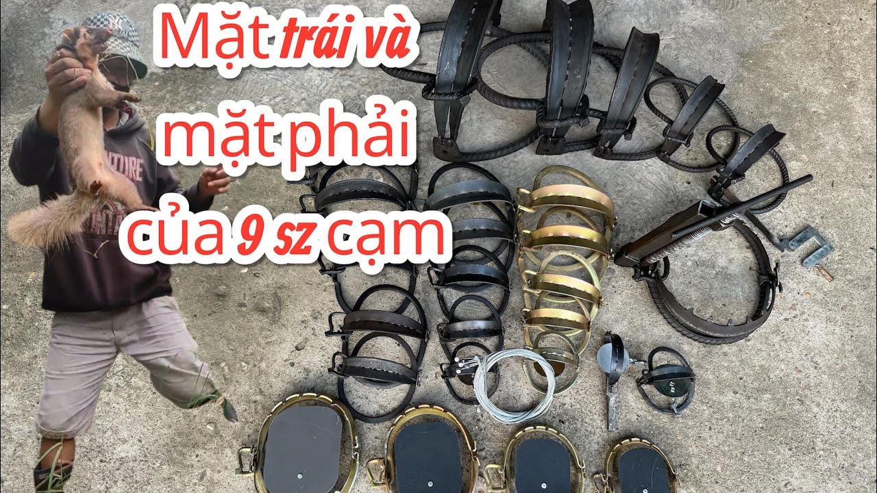 Ưu và nhược điểm của 9 sz bẫy kẹp - bẫy cạm kiềng từ nhỏ nhất 9c’ đến 34cm ( bẫy chuột -bẫy heo rung