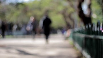 Park People Blur Walking Bokeh Blurred Defocused NoCopyrightVideo