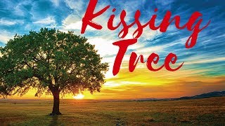 Kissing Tree [ᴏɴᴇ ᴘᴀᴄᴋ ᴘᴇʀ ʟᴏᴄᴀᴛɪᴏɴ #1]