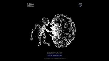 David Phoenix - Neural Partitioning