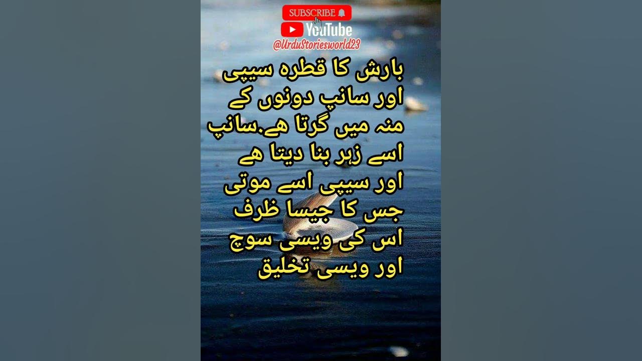 Islamic Reels Collection aqwal e zareen in urdu اقوال زریں quotes