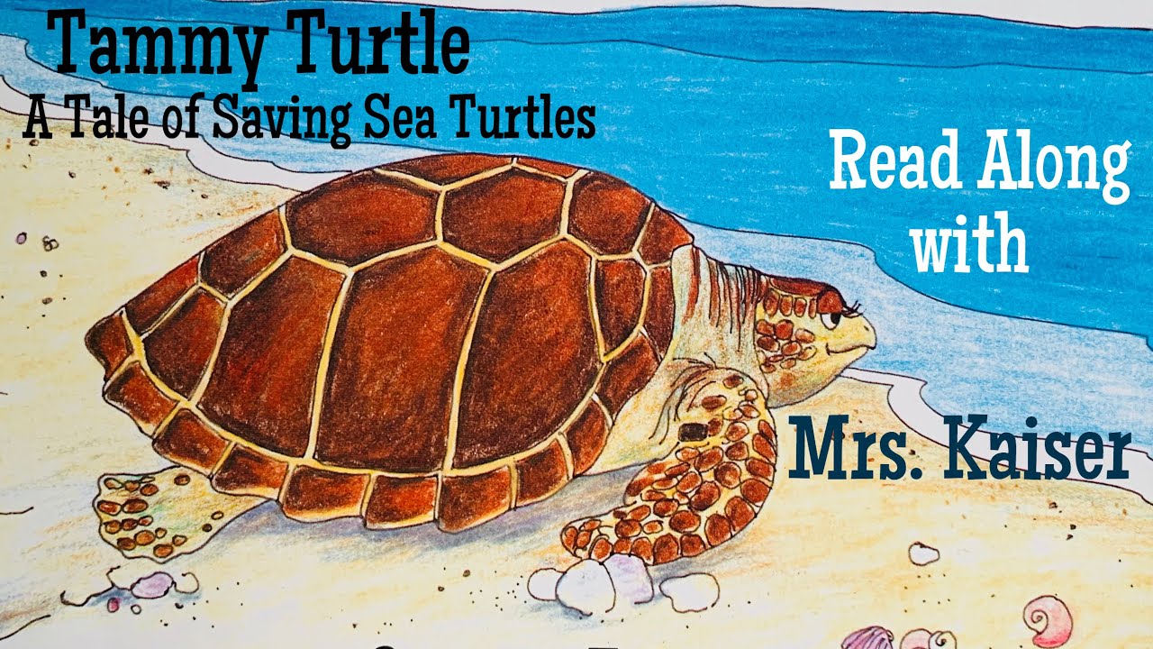 A Book About Sea Turtles (First Grade Book) - Wilbooks