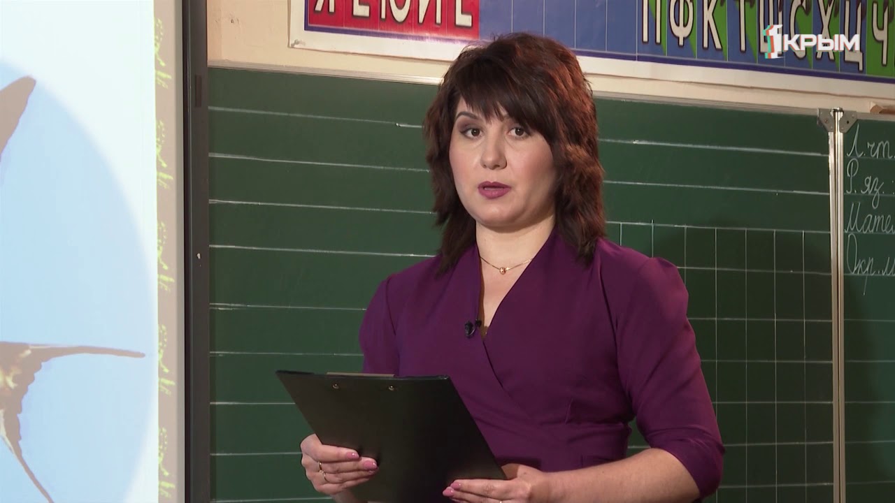 Домашнее Задание. 1 класс: математика, литературное чтение, окружающий ...