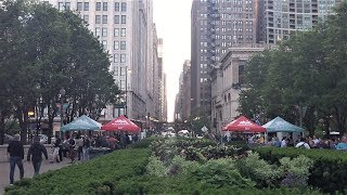 The Chicago Blues Festival in downtown Chicago (June 7, 2019)