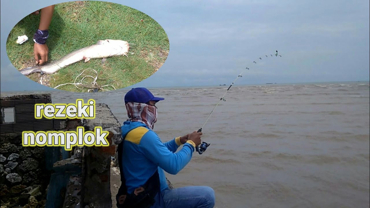 cara mancing di laut pakai umpan cacing laut/punpun