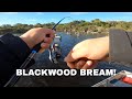 Fishing The Blackwood Going OFF! - Big Bream caught, heartbreak, many big fish lost!