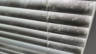 Are these blinds supposed to be black Blind Deep Cleaning!