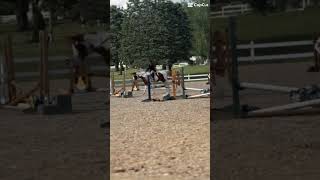 #show #jumping #horse #equestrian