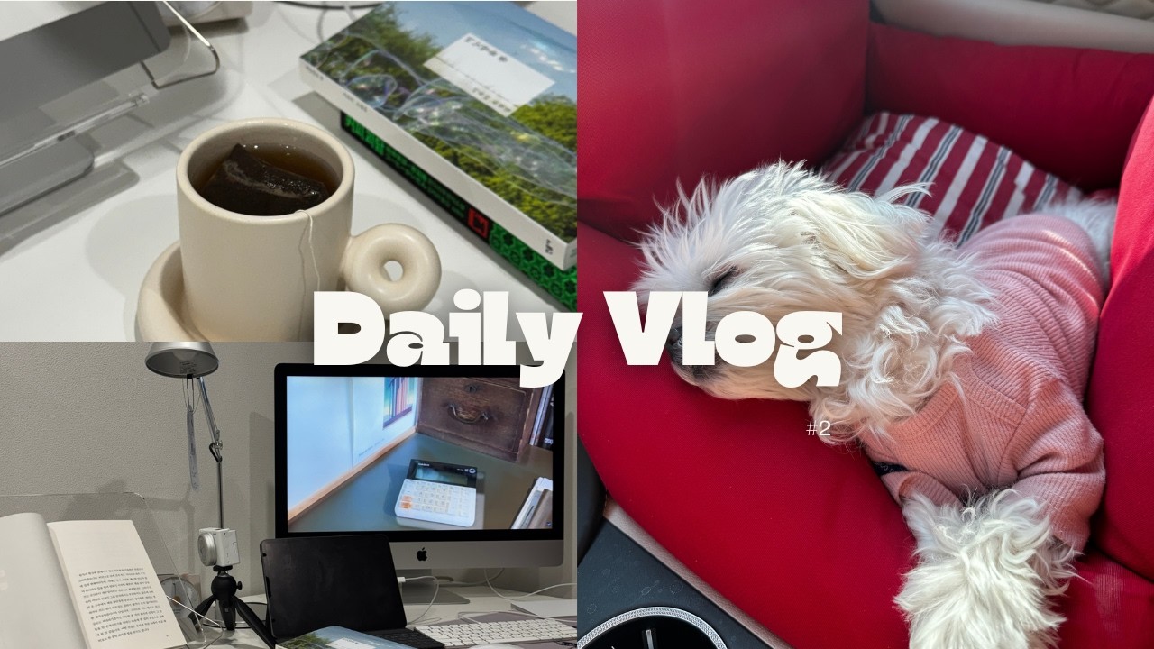 대충 살고 대충 찍고 대충 올리는 집순이 1월 일상