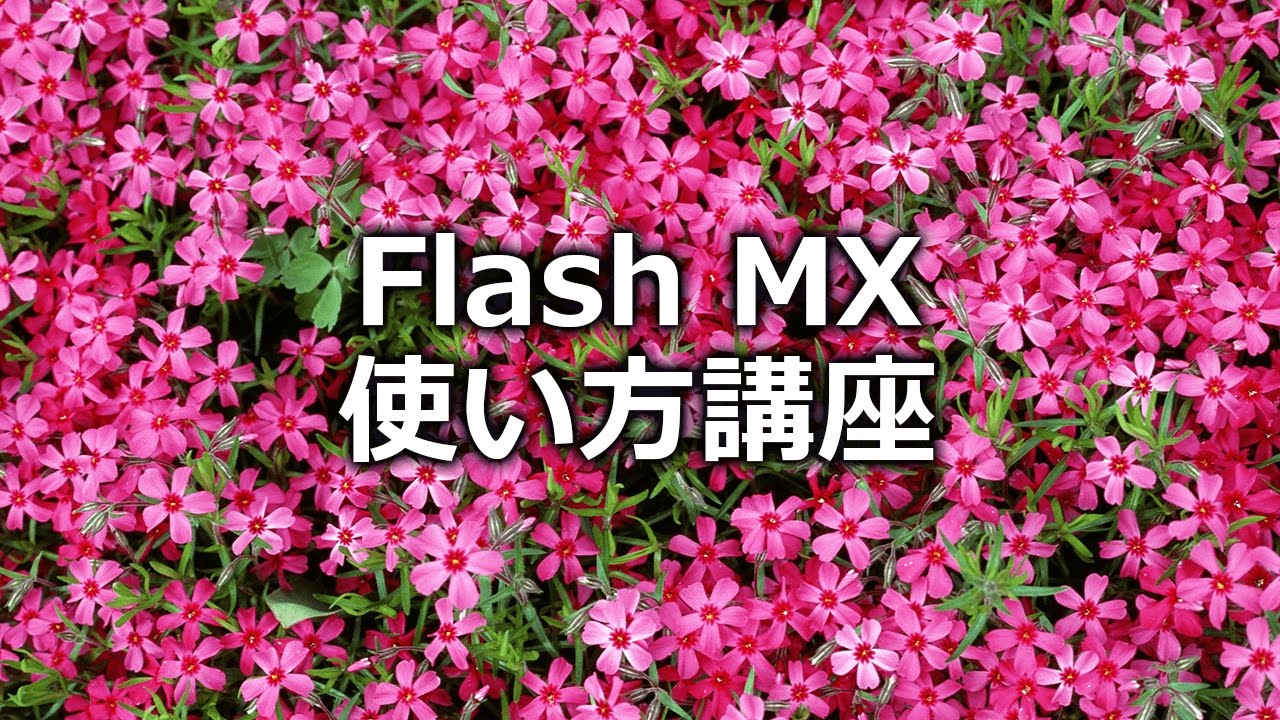 速習WebデザインFLASH MX 速習Webデザイン HTML＆CSS［HTML5＆CSS3対応］ | 技術評論社
