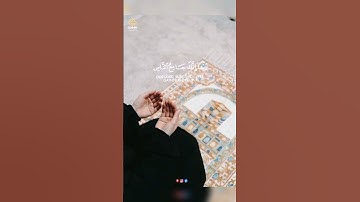 أكتب شيء تؤجر عليه #تلاوات #تلاوة_خاشعة #quran #قرآن