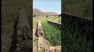 #VENDA:#TERRENO GRANDES INVESTIMENTOS 12,5 HECTARES MAPUNDA #LUBANGO #ANGOLA 3.000.000 USD/936227355