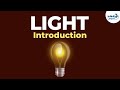 The Role of Light in Our Perception of the World