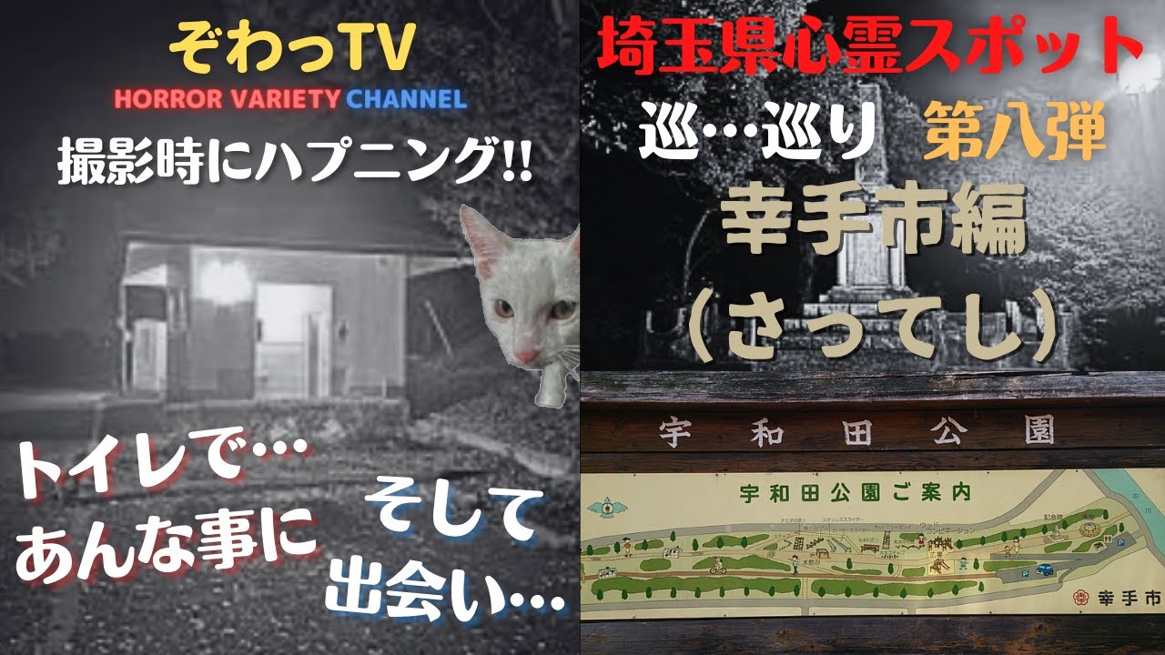 【埼玉県心霊スポット】幸手市（さってし）心霊スポットを巡…巡り「埼玉県制覇への道～」第八弾!! 撮影中にハプニング発生!?