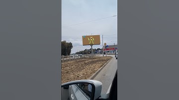 Epic Gold Wubbox Everywhere My Singing Monsters Real life (Fanmade animation)