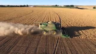 Seed Pea Harvest 2015