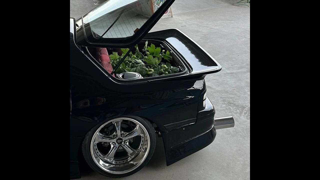 prettifun ginseng misogi type beat - SACRED REALM