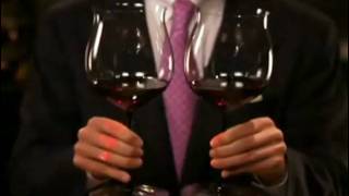 Riedel How to Toast with Wine Glasses at Bed Bath & Beyond